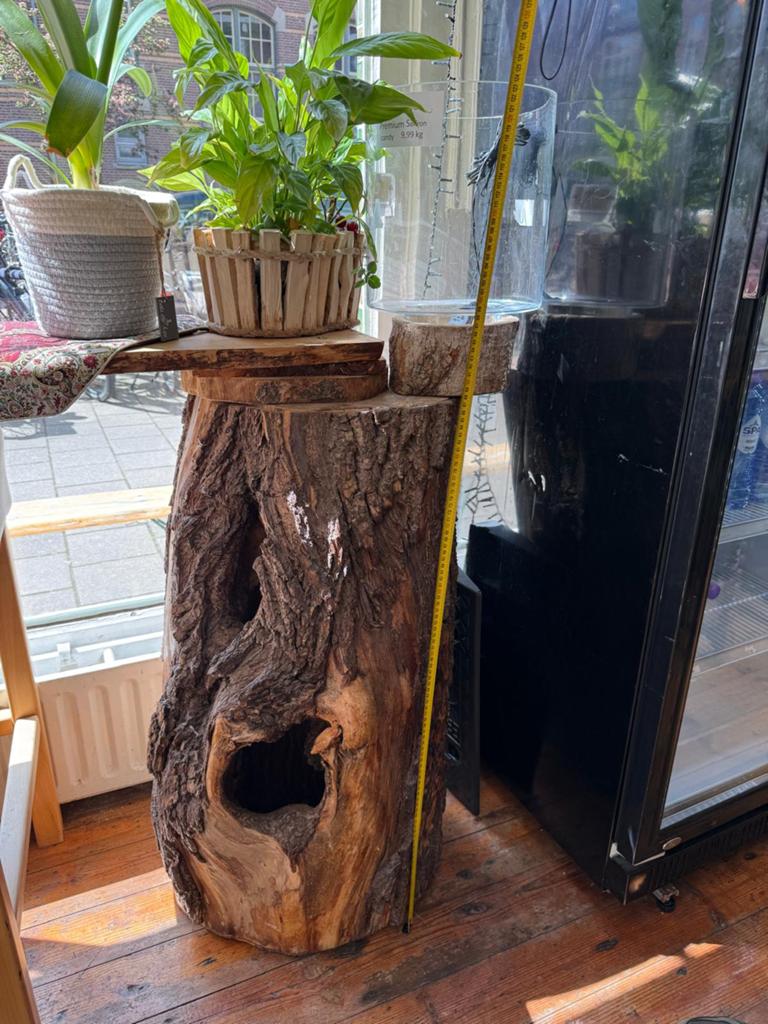 Unieke natuurlijke dennen boomstammen - decoratie, Ophalen
