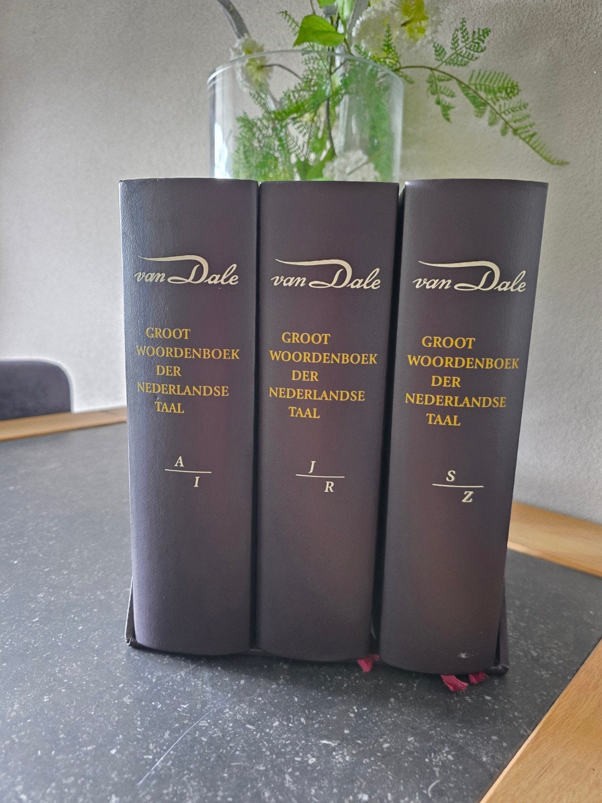 De Dikke van Dale in box in nieuwstaat, Boeken, Nederlands, Ophalen of Verzenden, Zo goed als nieuw, Van Dale