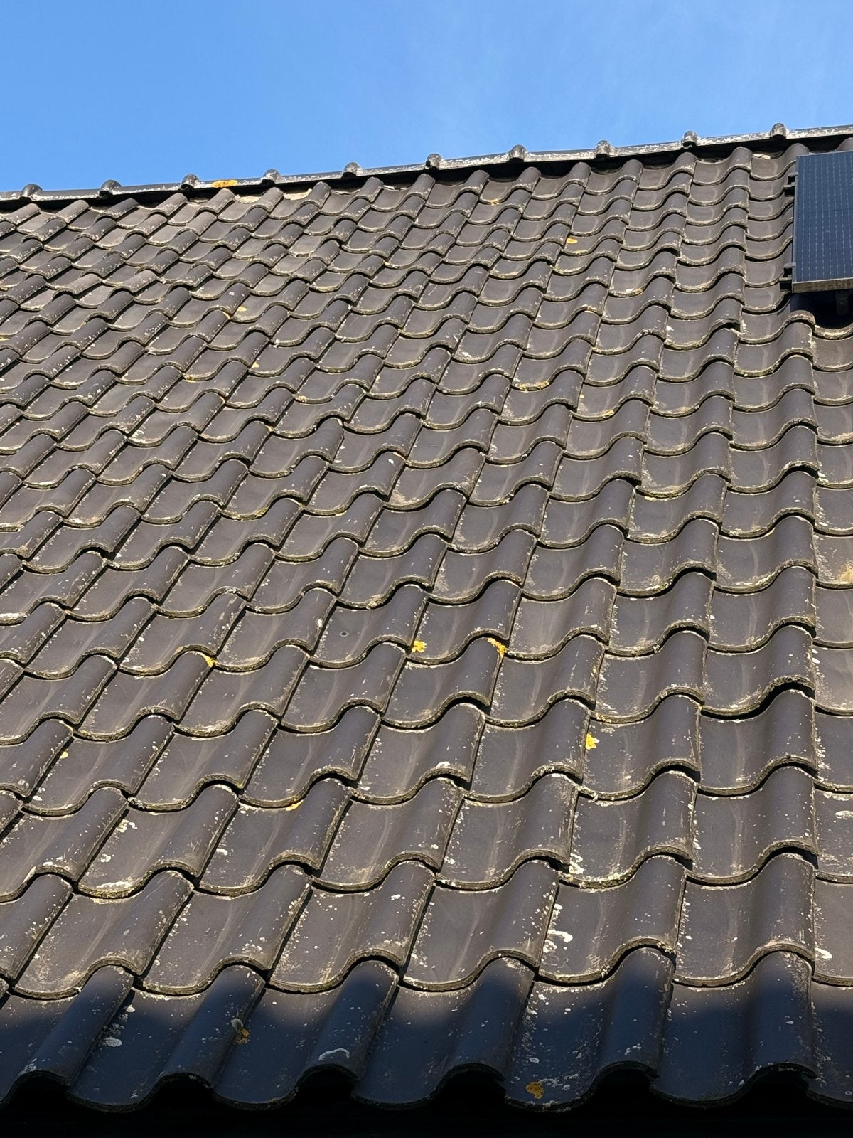 Gebruikte dakpannen, circa 100 stuks (ca. 10 m²), Ophalen, Gebruikt, Steen of Klei, Zwart