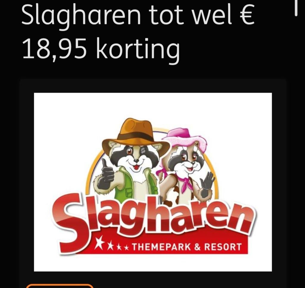 4x korting Slagharen, Drie personen of meer, Ticket of Toegangskaart