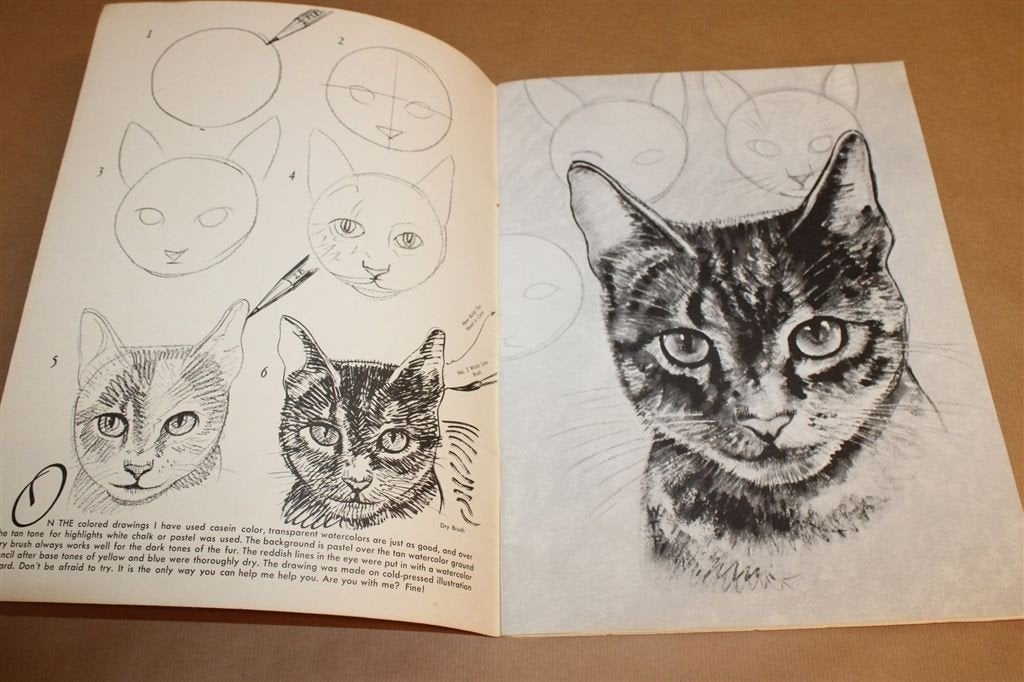 How to Draw Cats — Walter Foster Art Books, Vintage 1984, Verzenden, Gelezen, Overige onderwerpen