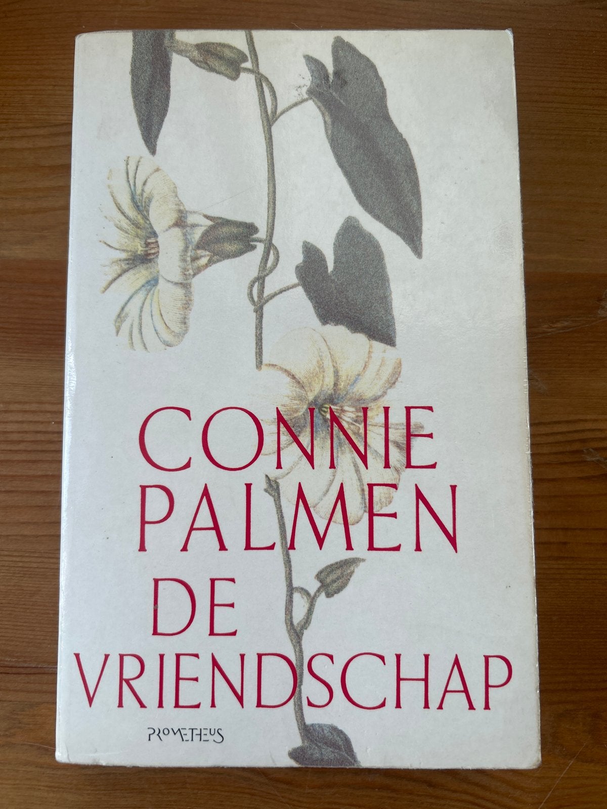 Connie Palmen - De Vriendschap, Boeken, Ophalen of Verzenden, Gelezen