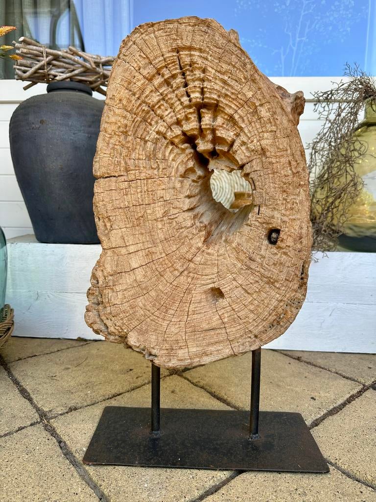 Uniek houten boomstamornament op metalen voet, Huis en Inrichting, Woonaccessoires | Overige, Ophalen, Hout, Gebruikt, Landelijk