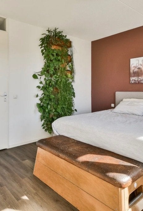 Planten wand / wandpanelen / hout, Volle zon, Vaste plant, Lente, Ophalen
