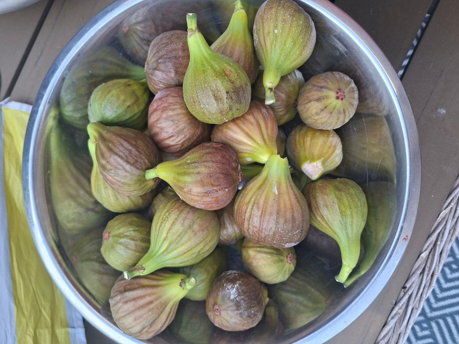 verse vijgen dagelijk geplukt.ook jam vijgen 10 voor€ 2.00, Tuin en Terras, Ophalen of Verzenden, Minder dan 100 cm, Overige soorten