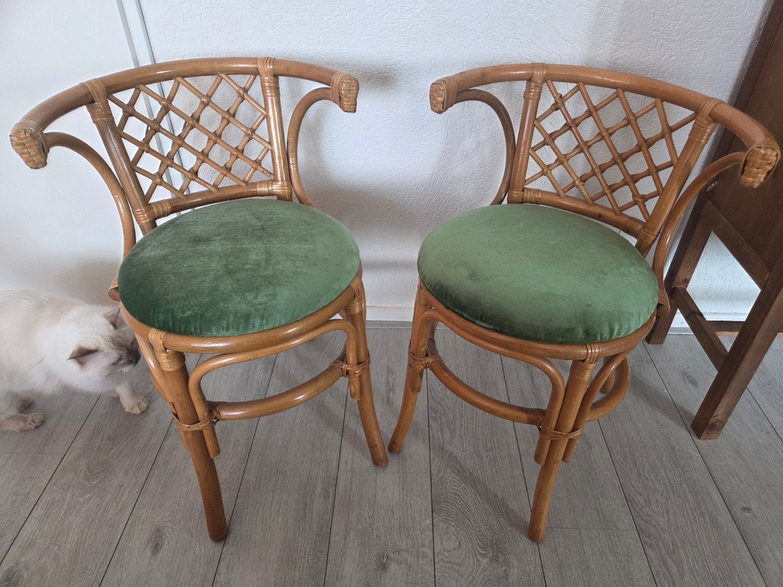 Set van 2 vintage rotan stoelen met groene velvet kussens, Ophalen