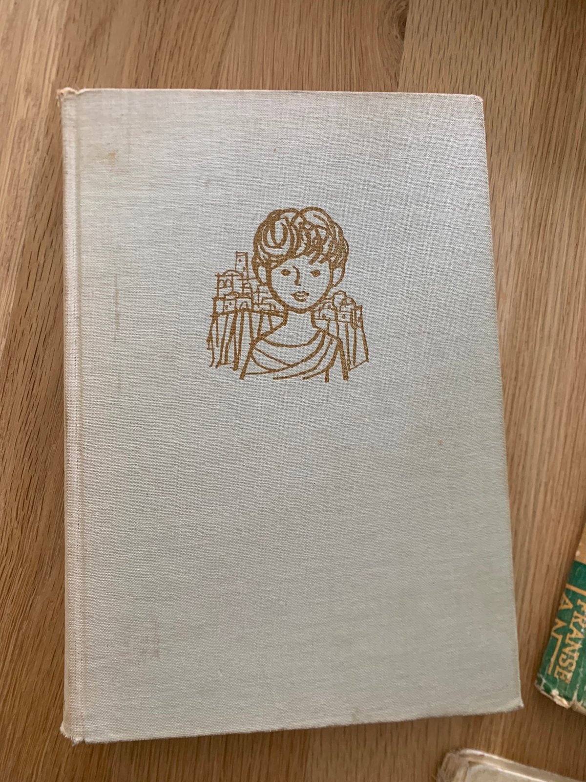 Kinderen in de bijbel van Anne de Vries, Boeken, Gelezen, Non-fictie, Jongen of Meisje, Ophalen of Verzenden