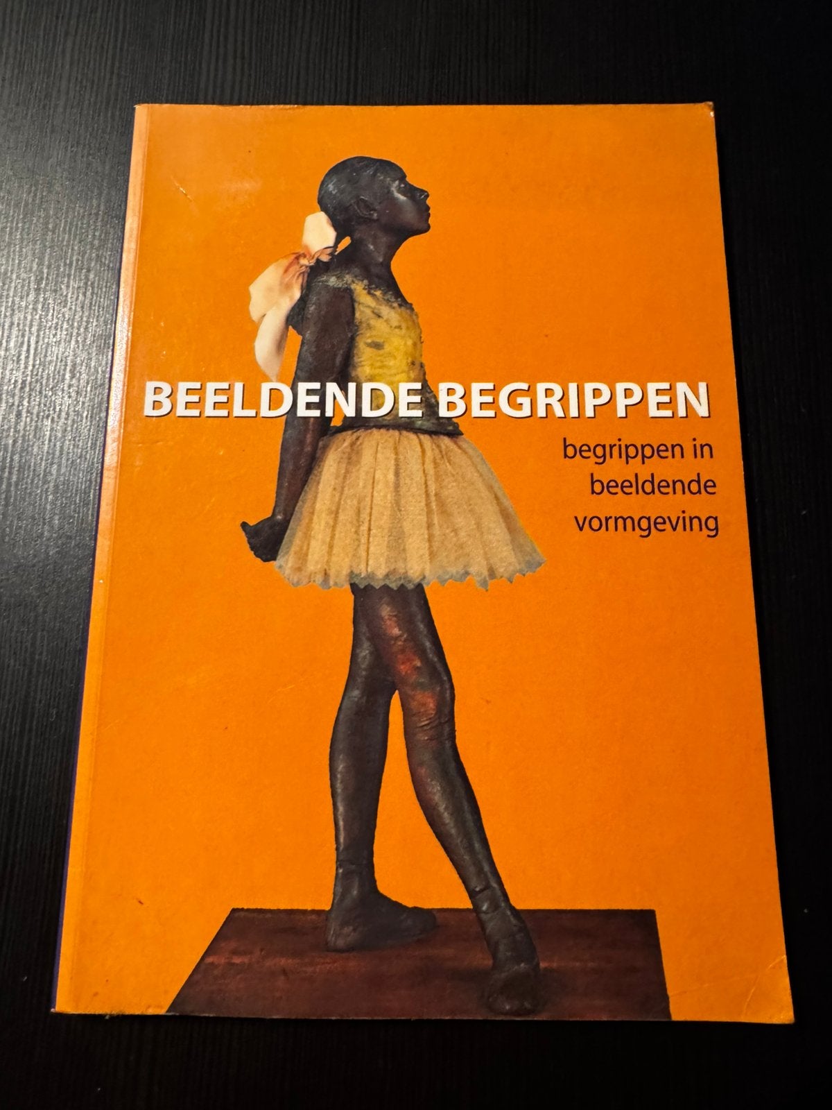 Boek Beeldende Begrippen - Begrippen in Beeldende Vormgeving, Boeken, Ophalen of Verzenden, Gelezen, Overige onderwerpen
