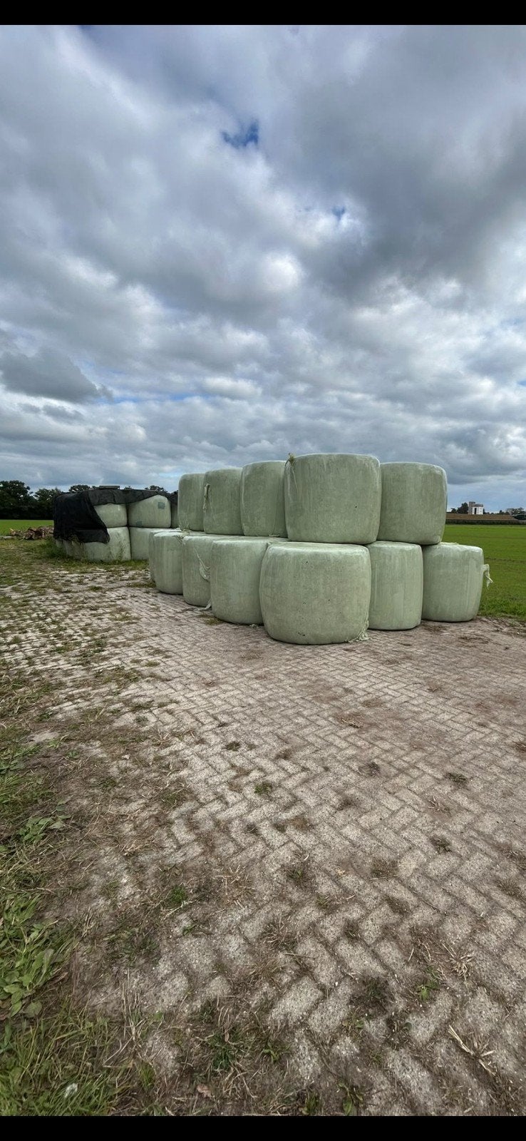 Ronde balen, mooi voer!, Ophalen of Verzenden, Vee