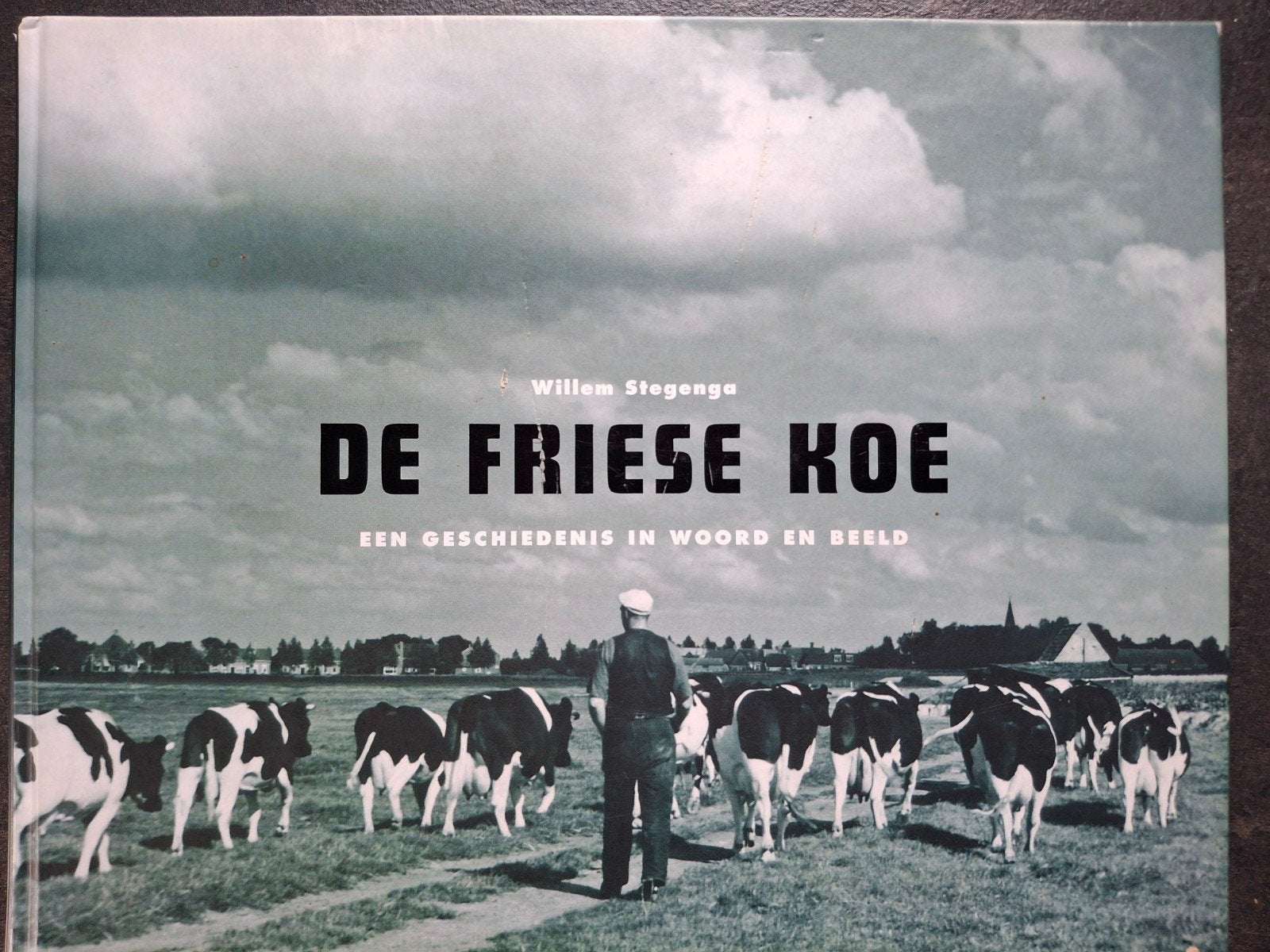 De Friese Koe Stegenga fokken stier Sunny Boy melkfabriek, Boeken, Ophalen of Verzenden, Gelezen, Willem Stegenga