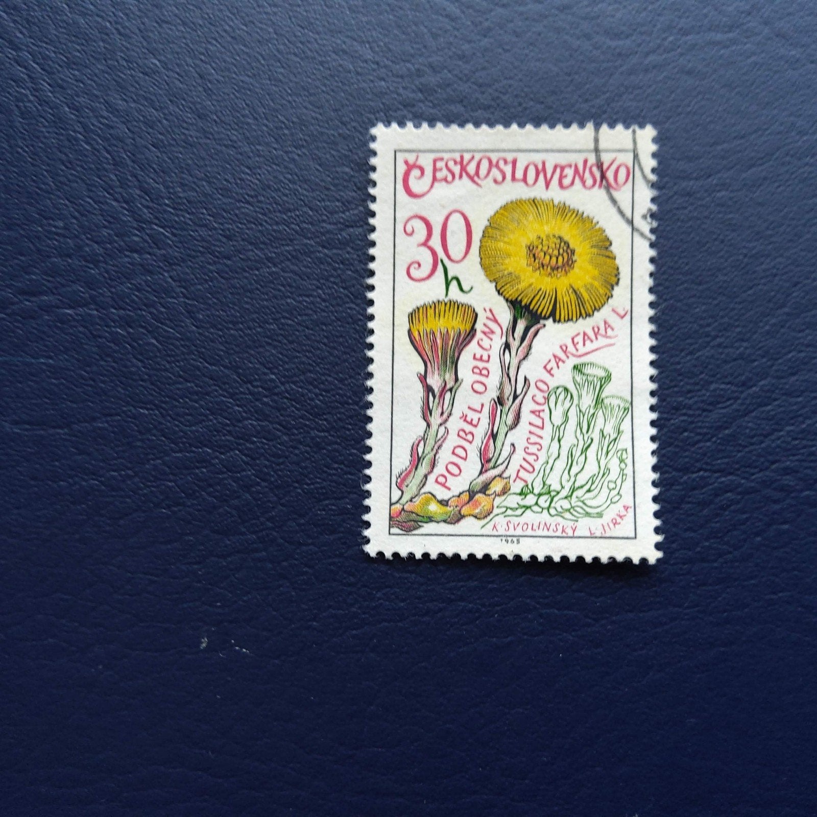 Tsjechoslowakije 1965 Postzegel - Tussilago Farfara, Postzegels en Munten, Postzegels | Europa | Overig, Ophalen of Verzenden