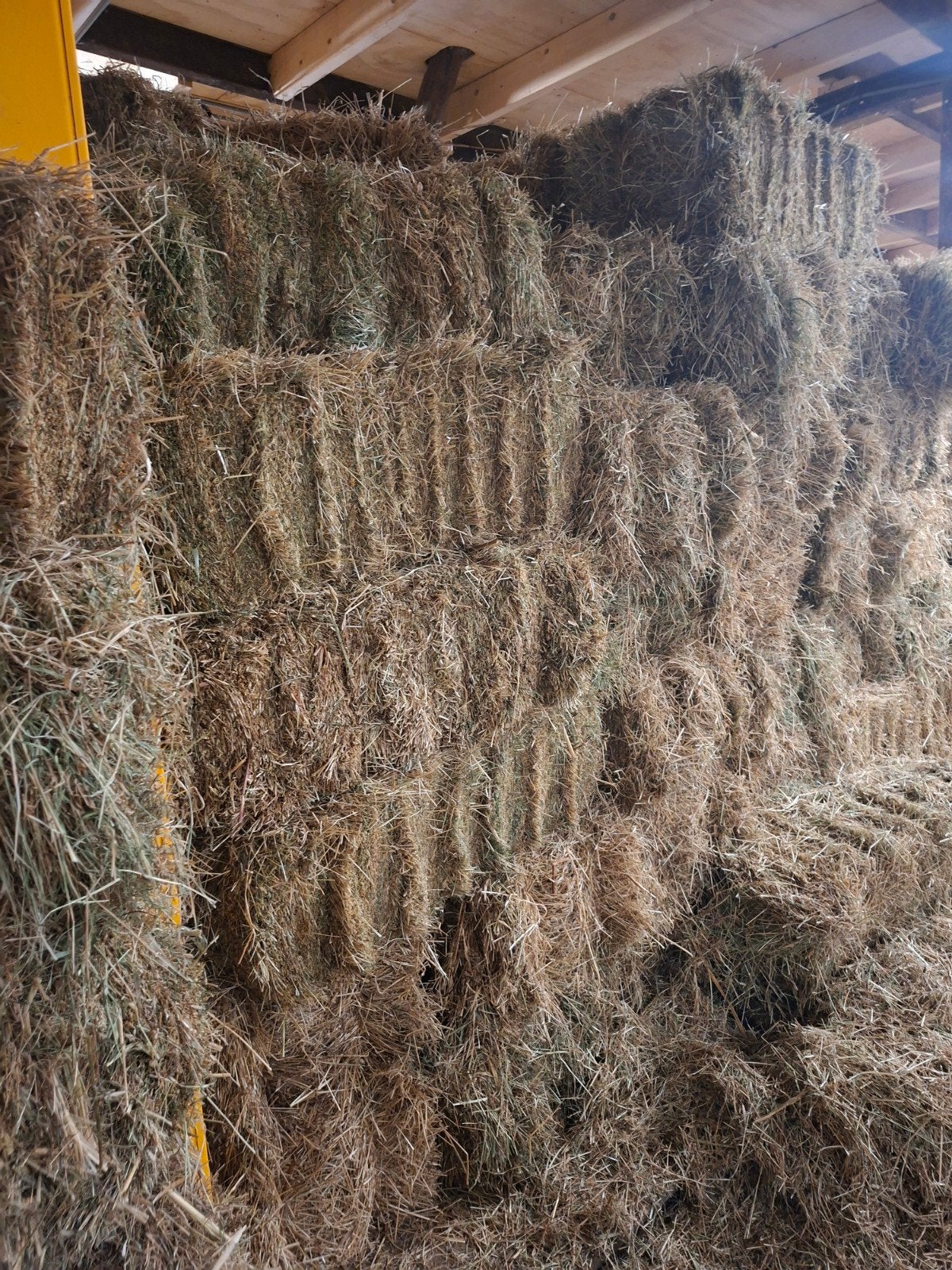 Heel mooi biologisch hooi!, Dieren en Toebehoren, Dierenvoeding, Ophalen, Vee