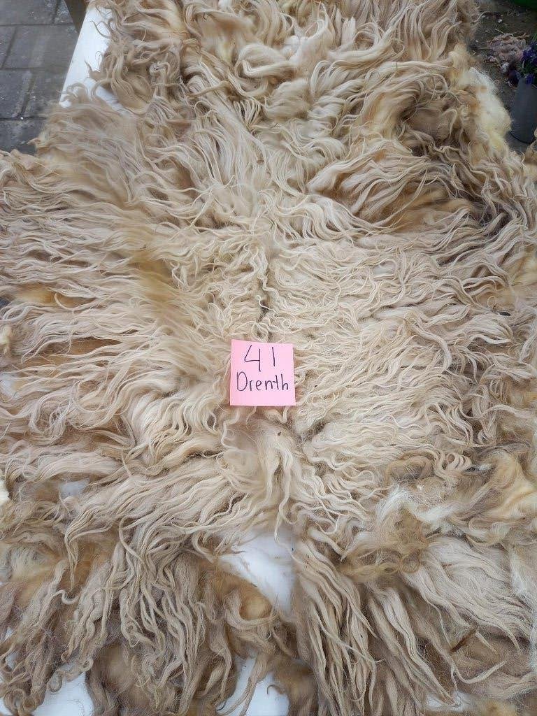 nr 41 Geschoren vacht van een Drents Heideschaap, Ophalen of Verzenden, Gebruikt
