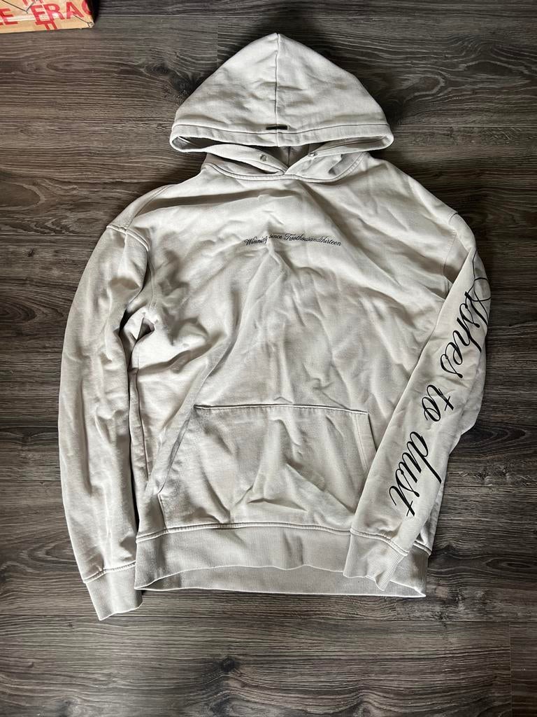 Comfortabele grijs-beige hoodie met tekstprint, Kleding | Dames, Ophalen of Verzenden, Gedragen, Maat 38/40 (M), Beige