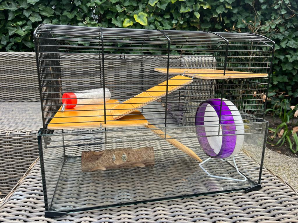 Hamster of muizenkooi neo bij Zolux terrarium, Dieren en Toebehoren, Minder dan 60 cm, Kooi, Gebruikt, Minder dan 75 cm