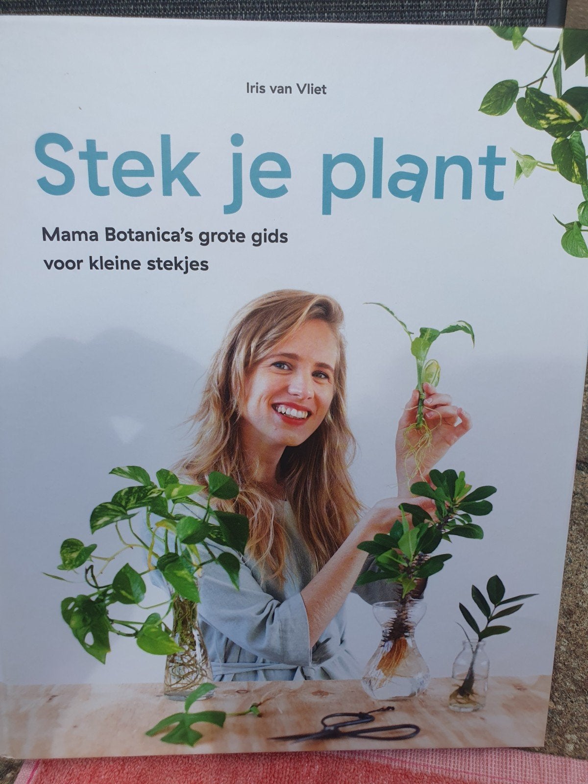 Iris van Vliet - Stek Je Plant, Boeken, Ophalen of Verzenden, Zo goed als nieuw, Iris van Vliet