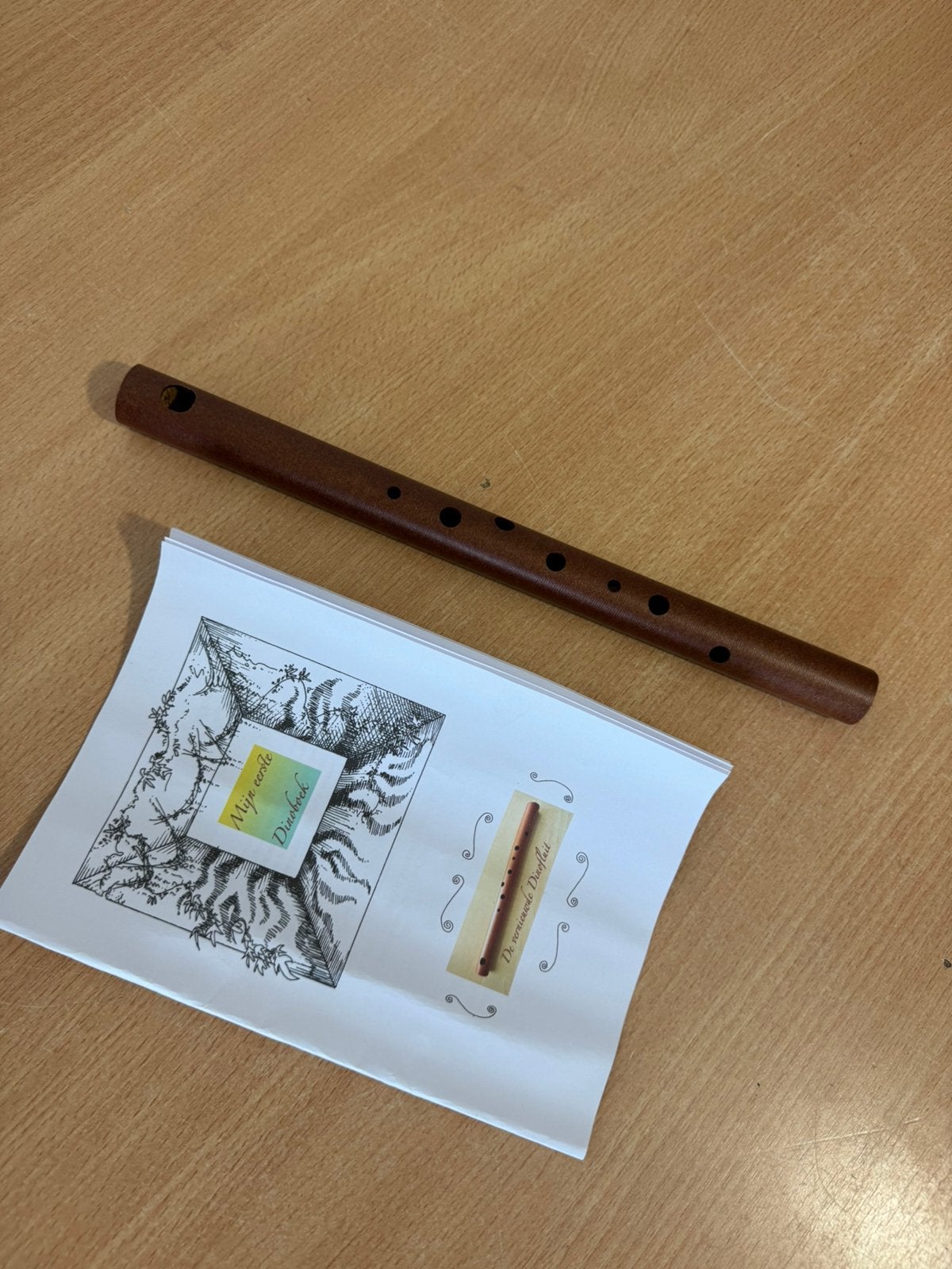 De Orientatie Dwarsfluit ( Dino Fluit ) + Handleiding, Muziek en Instrumenten, Ophalen of Verzenden, Zo goed als nieuw