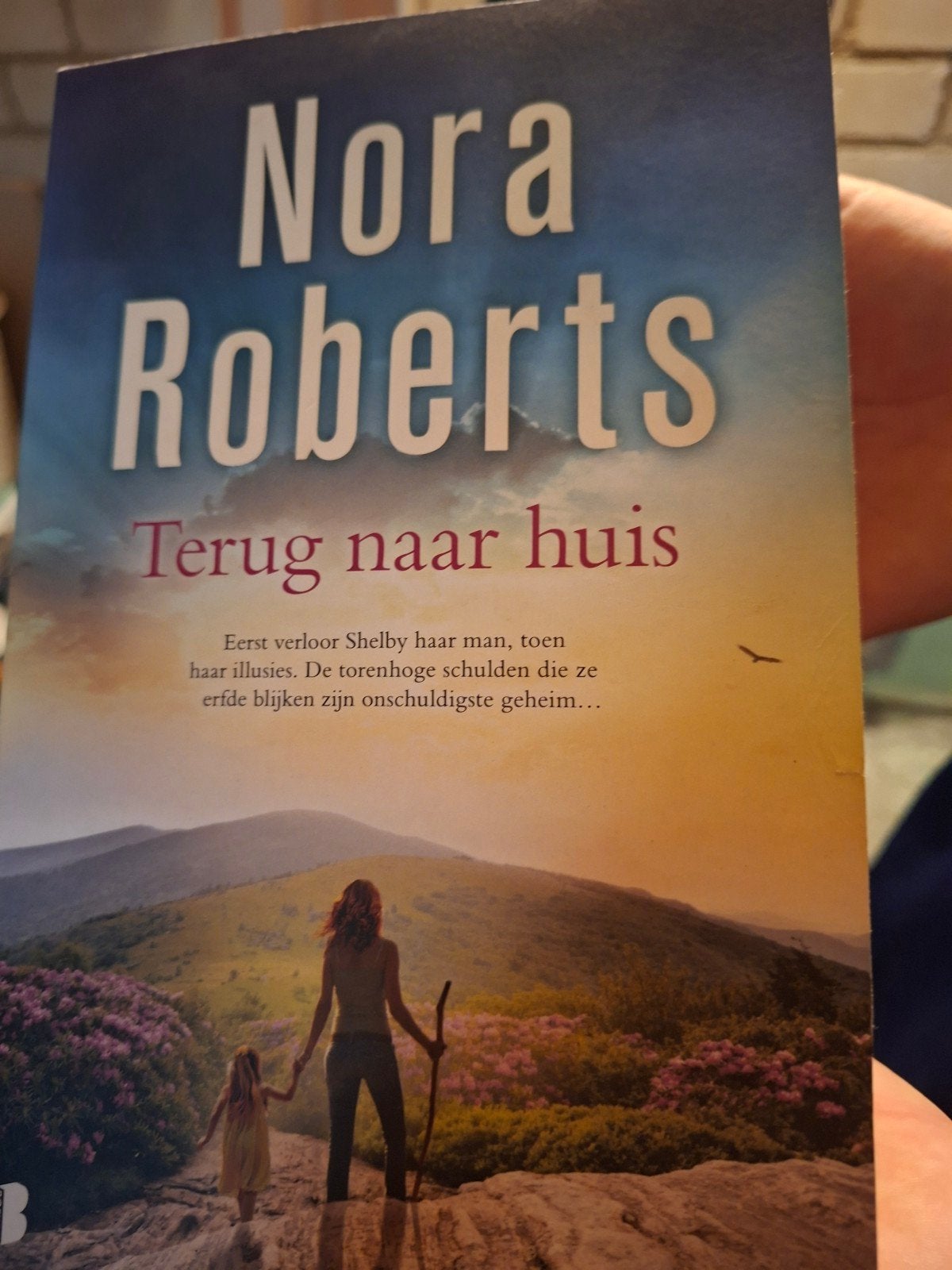 Nora Roberts - Terug naar huis, Ophalen of Verzenden, Zo goed als nieuw, Nora Roberts