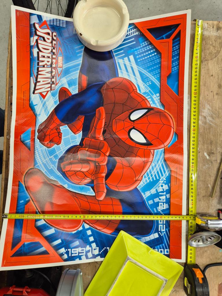 Spiderman Marvel Poster - Regina - 47x65.5 cm, Verzamelen, Ophalen of Verzenden, Deurposter of groter, Film en Tv