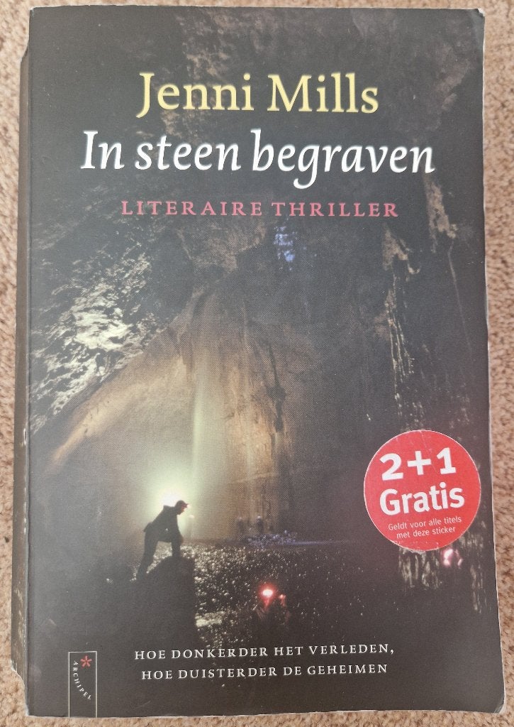 Boek In steen begraven van Jenni Mills, Ophalen of Verzenden, Gelezen, Jenni Mills