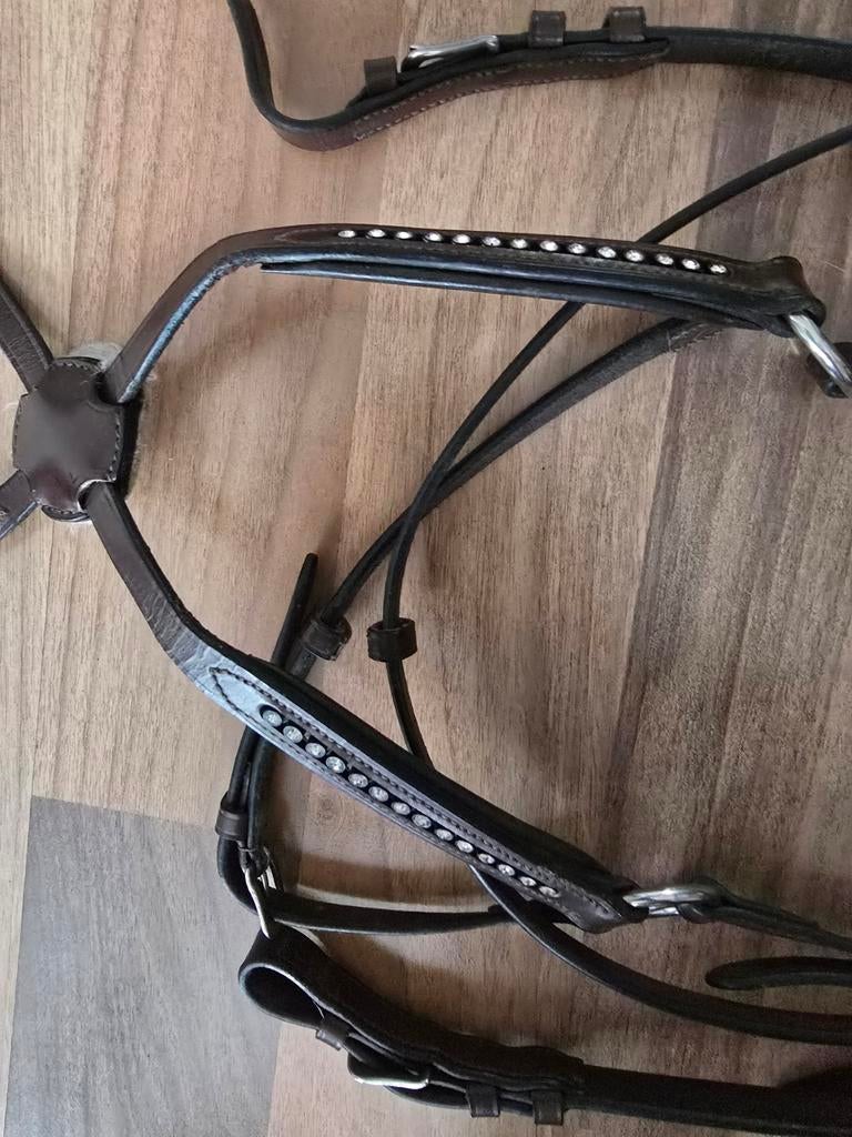 Halster paard, Ophalen, Overige soorten