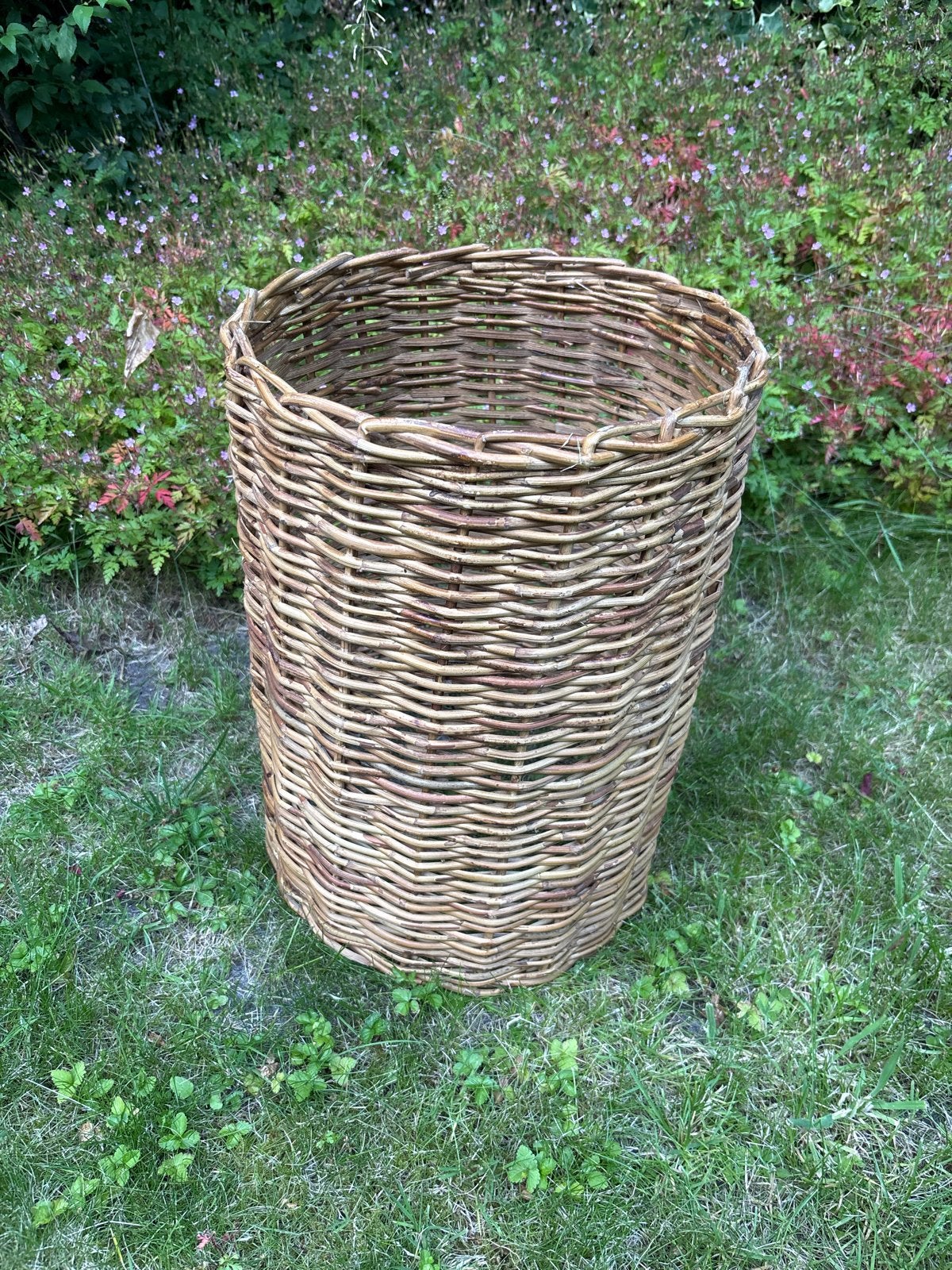 Rotan plantenmand - 8 stuks, Ophalen, Halfschaduw, Minder dan 100 cm