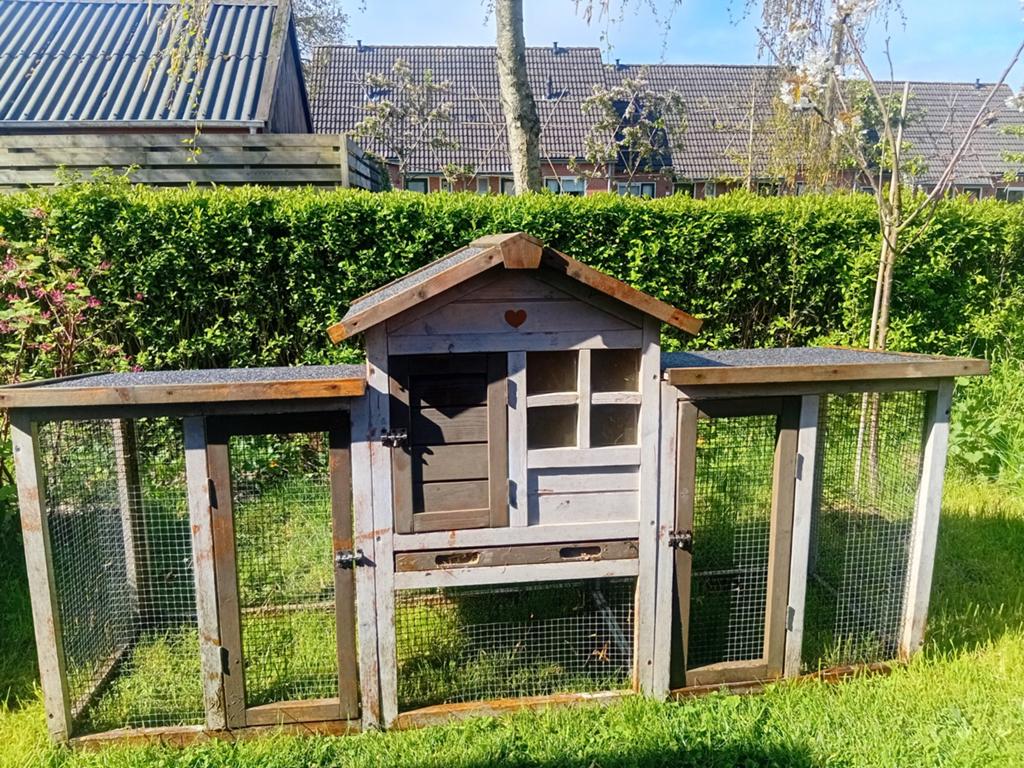Prachtig konijnenhok, Ophalen of Verzenden, Gebruikt, Kippenhok of Kippenren