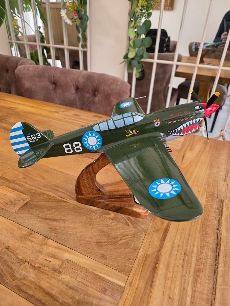 Gedetailleerd modelvliegtuig P-40 Warhawk breitling, Onbekend, Zo goed als nieuw, Groter dan 1:72, Onbekend