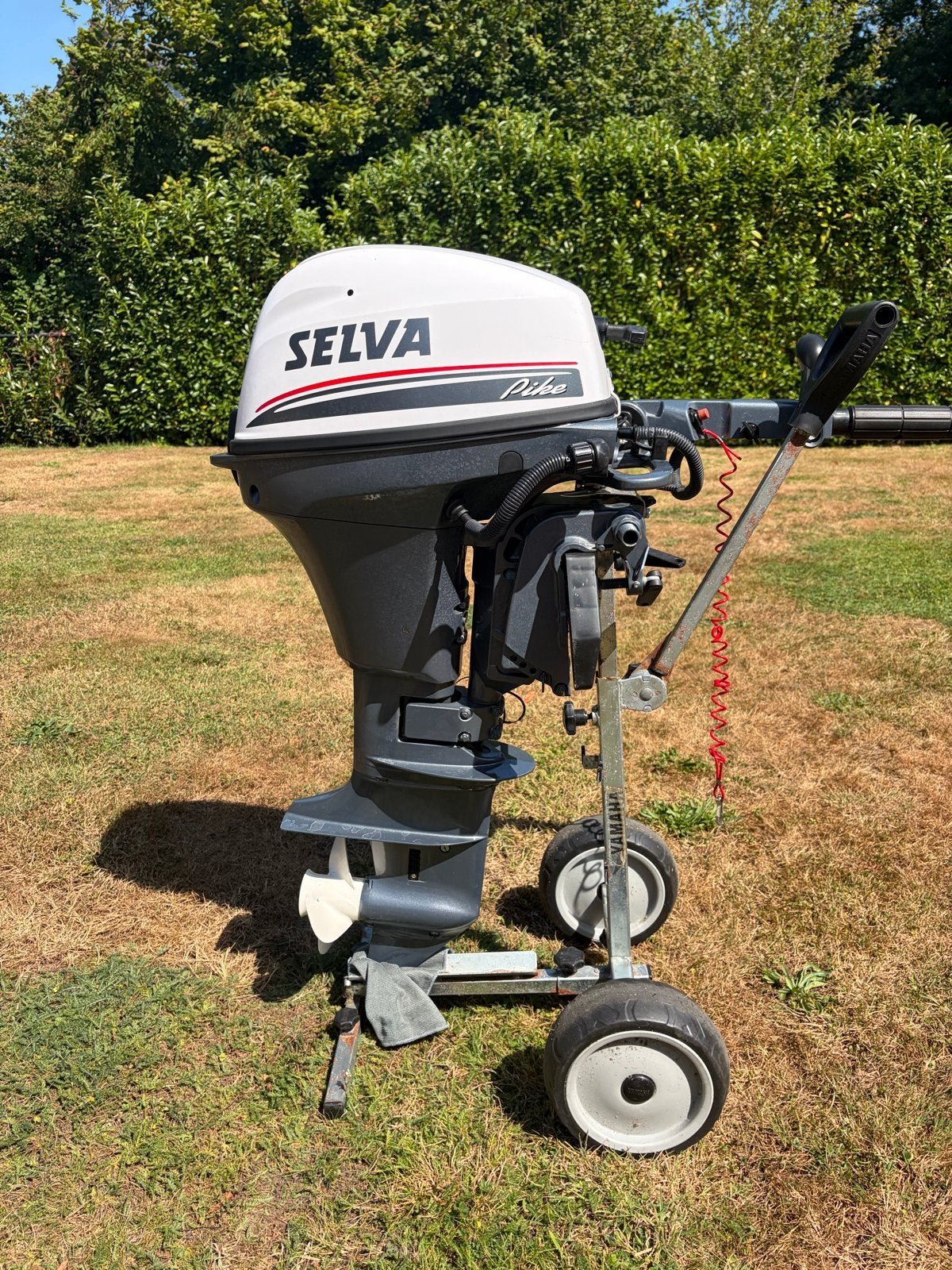 Selva Pike 9.9 PK buitenboordmotor (2021), Ophalen, 5 tot 10 pk, Viertaktmotor, Zo goed als nieuw