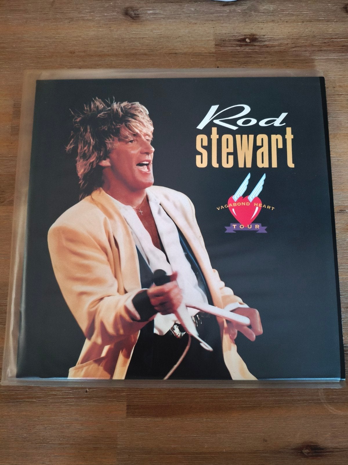 Rod Stewart Vagabond Tour - Laserdisc, Alle leeftijden, Ophalen of Verzenden, Zo goed als nieuw, Muziek