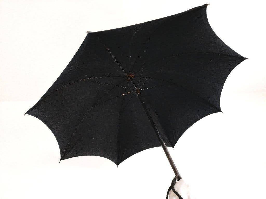 Antieke paraplu met zilveren handvat (mesheft), Hooijkaas