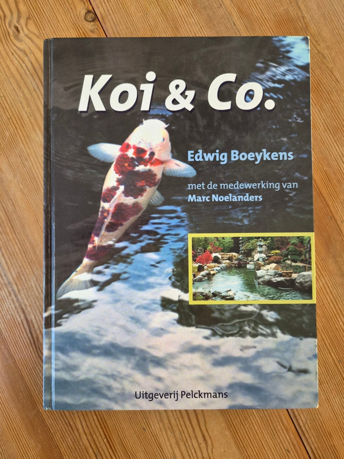 Koi & Co. - Edwig Boeykens - Boek over Koi karpers, Ophalen of Verzenden, Overige onderwerpen, Edwig Boeykens