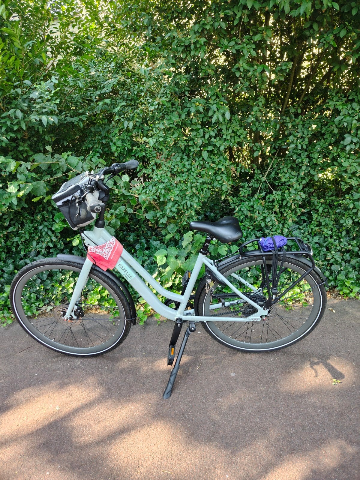 Gazelle Esprit, 47 tot 50 cm, Ophalen, Zo goed als nieuw, Gazelle