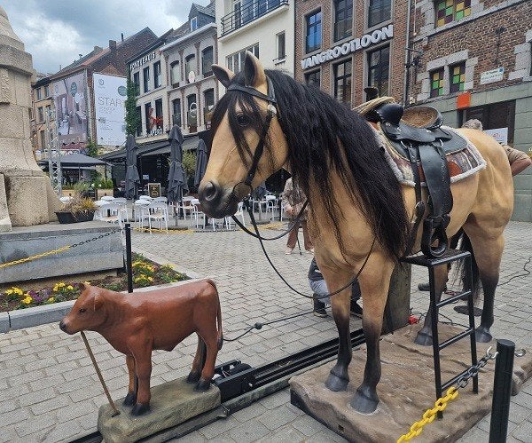 Cowboy Lasso Attractie – Beleef het echte Wilde Westen, Ophalen of Verzenden, Zo goed als nieuw, Overige
