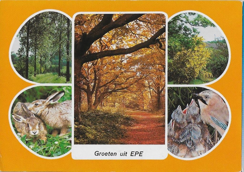 Ch691 Gelopen ansichtkaart groeten uit Epe, Ophalen of Verzenden, 1980 tot heden, Gelopen, Gelderland