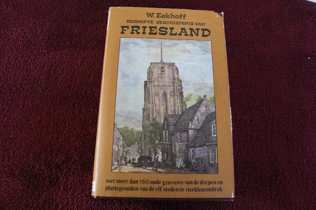 Beknopte geschiedenis van Friesland Eekhoff, Boeken, Ophalen of Verzenden, Gelezen