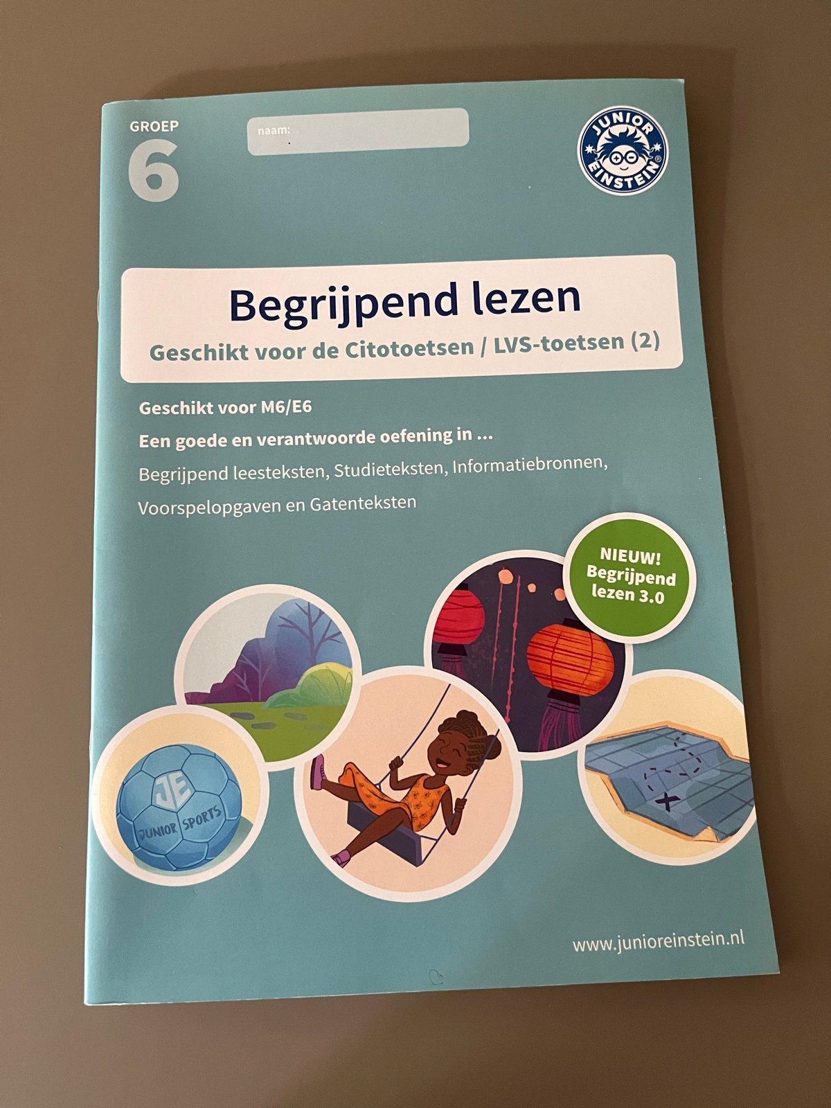 Junior Einstein Begrijpend Lezen Groep 6, Boeken, Schoolboeken, Gelezen, Nederlands, Overige niveaus, Ophalen
