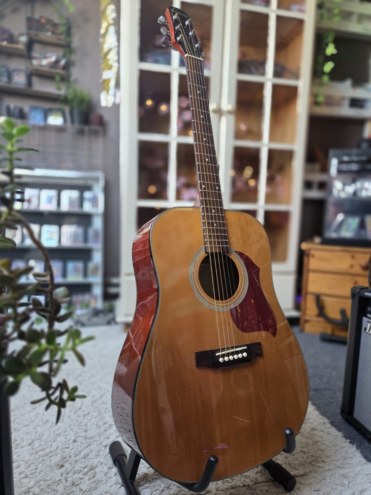 Akoestische western gitaar, Muziek en Instrumenten, Ophalen