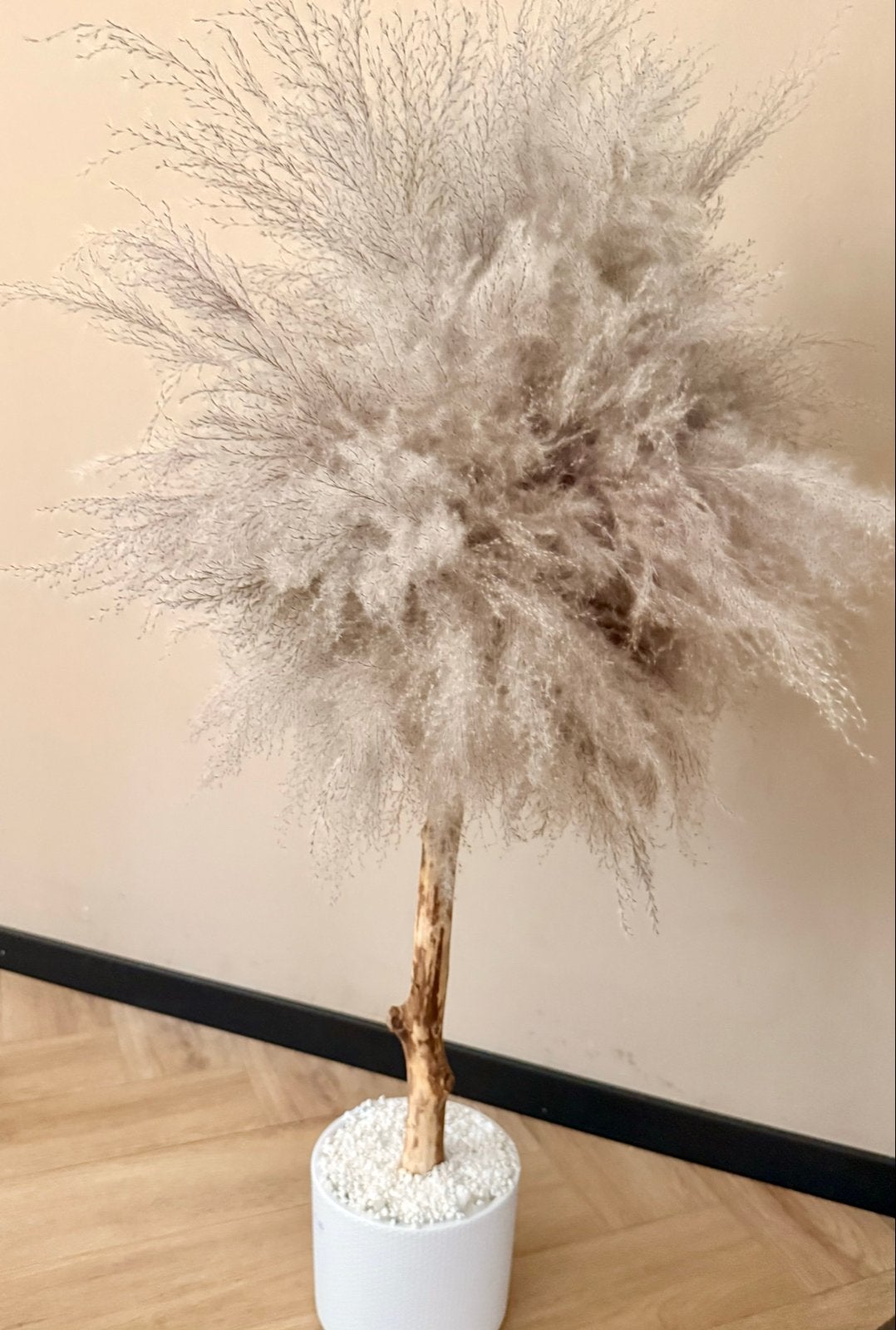 Pampasboom pluim, Huis en Inrichting, Binnen, Kunstplant, Nieuw, Ophalen of Verzenden