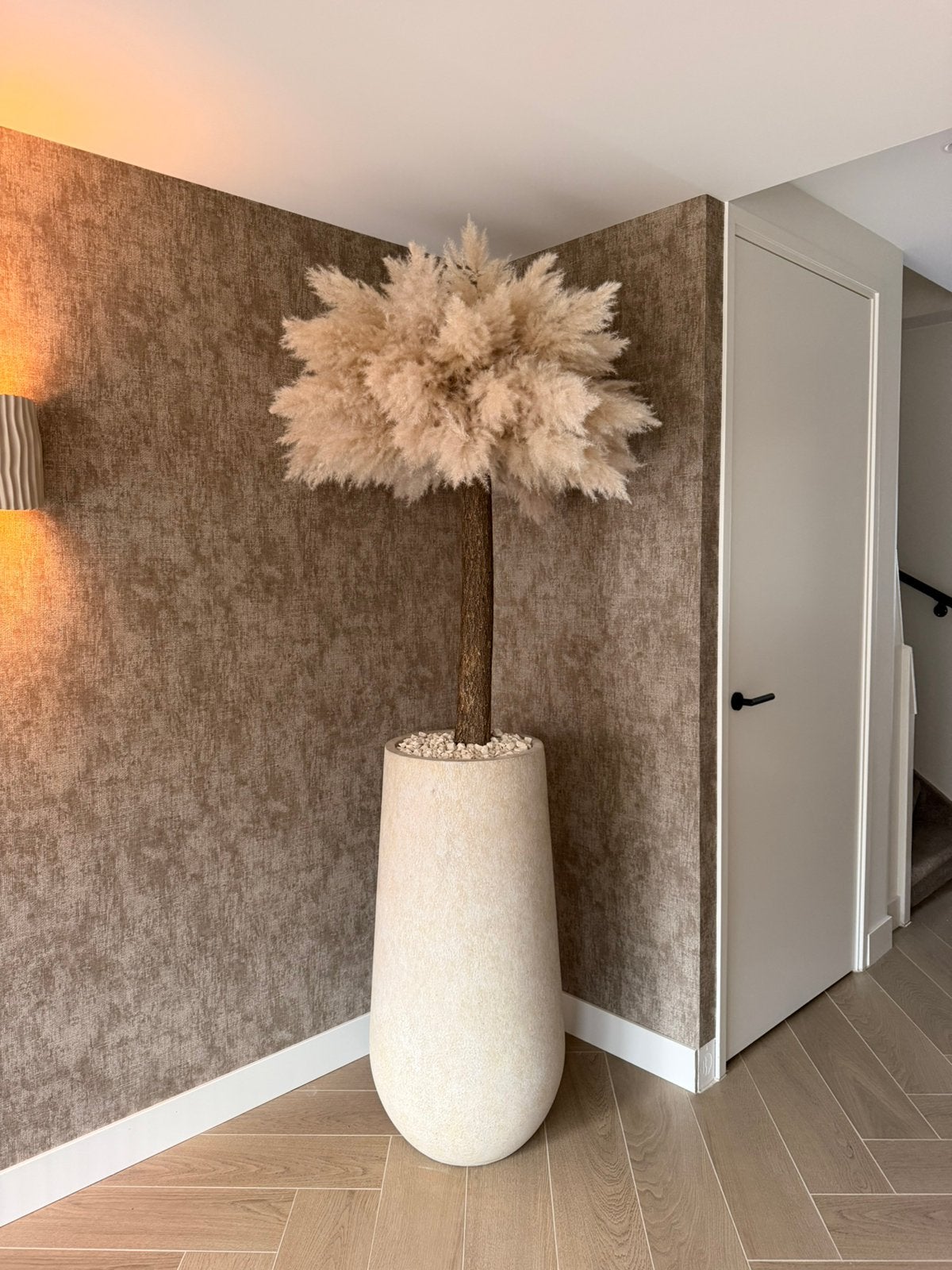 Pampas boom, Lvkvazen, Nieuw, Info@lvkvazen.com, Ophalen