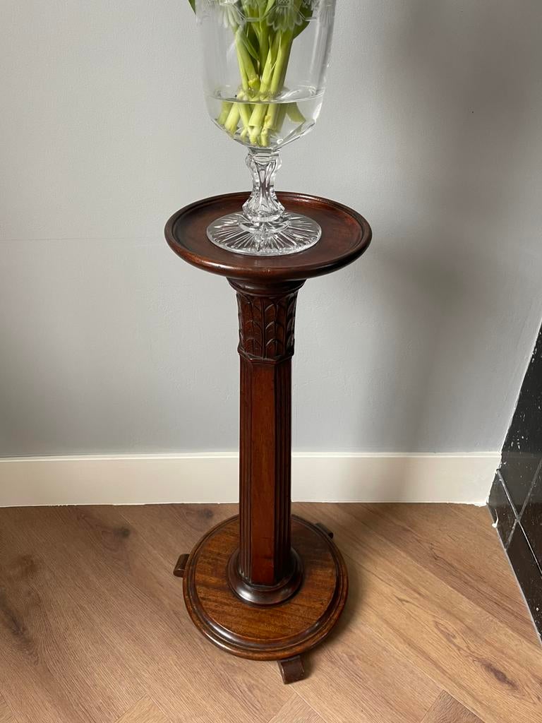 Mahonie Plantentafel, Ophalen of Verzenden