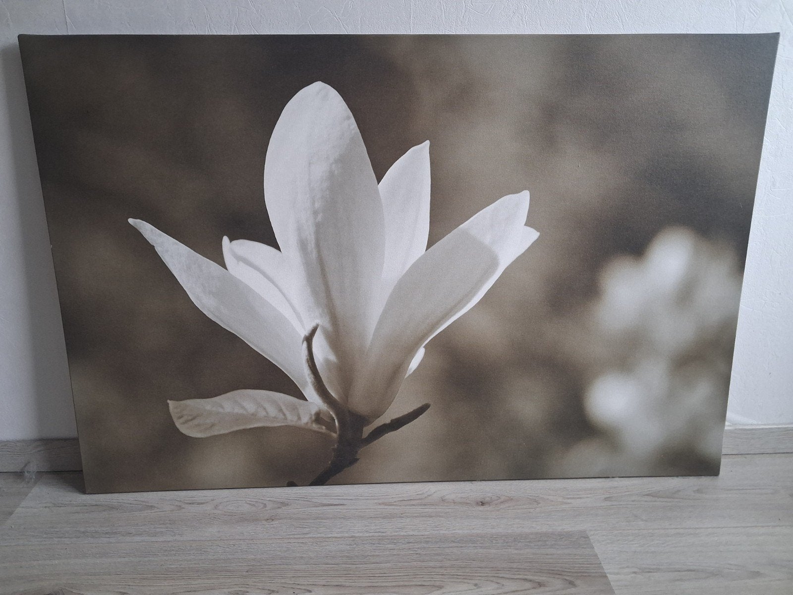 canvas 80 x 120 als nieuw, Ophalen, Zo goed als nieuw, Schilderij, 100 tot 125 cm