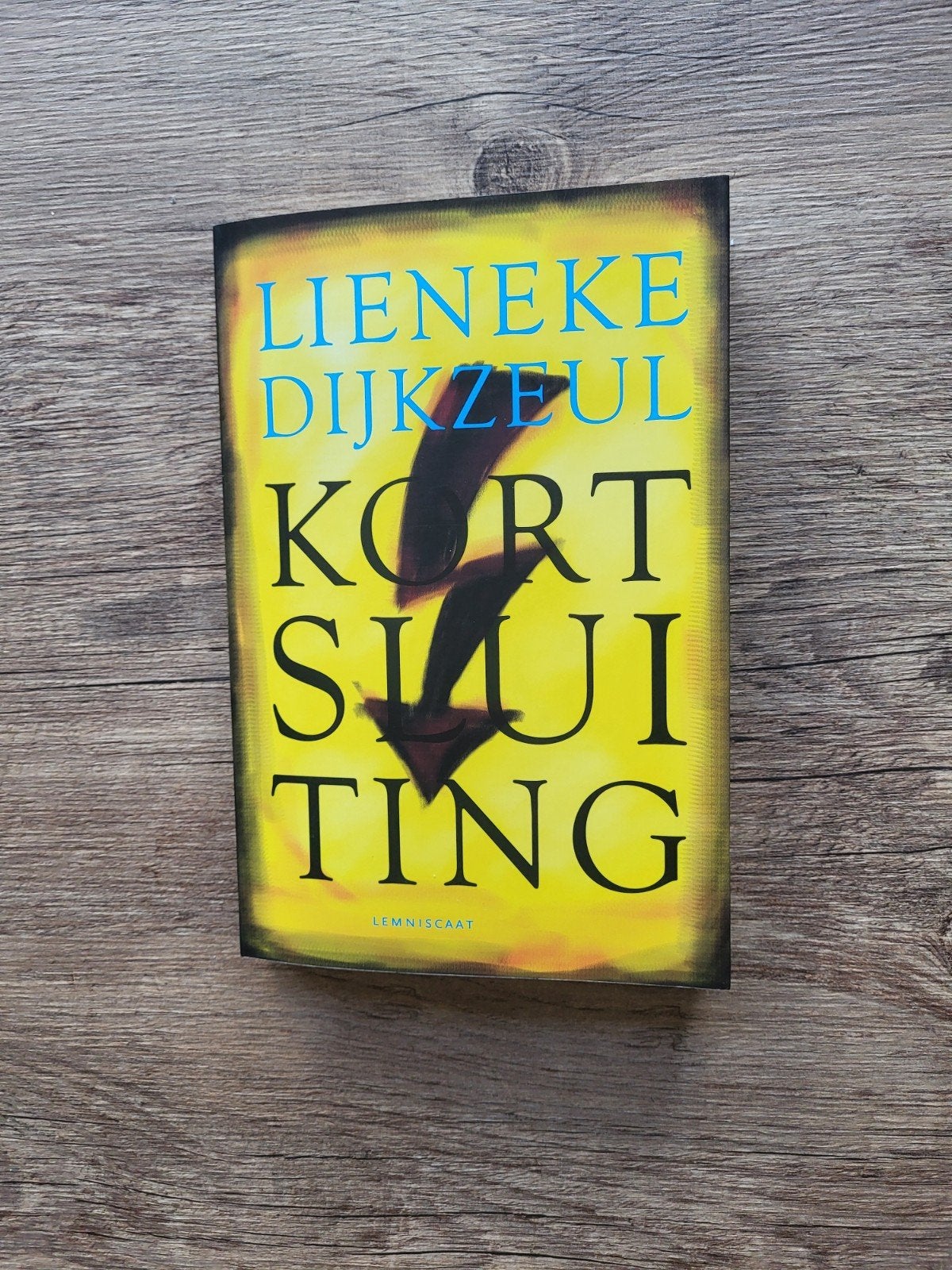 Kortsluiting / Lieneke Dijkzeul, Ophalen, Zo goed als nieuw