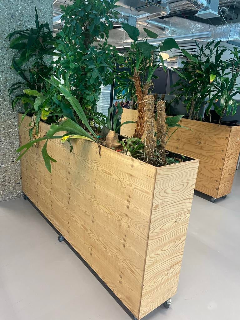 6 verrijdbare plantenbakken voor kantoorafscheidingen, Tuin en Terras, Ophalen, Gebruikt, 100 cm of meer, Binnen