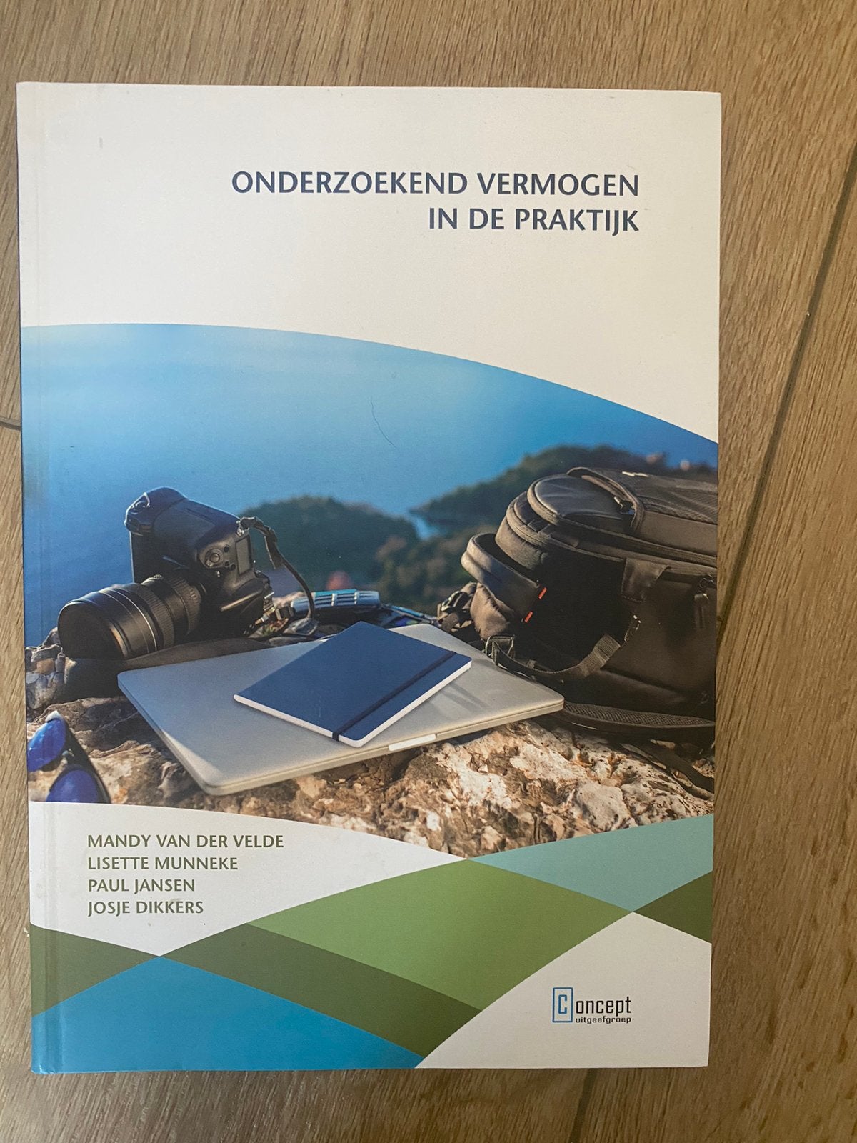Onderzoekend vermogen in de praktijk – ISBN 9789055163335, Ophalen of Verzenden, Beta, Zo goed als nieuw, HBO