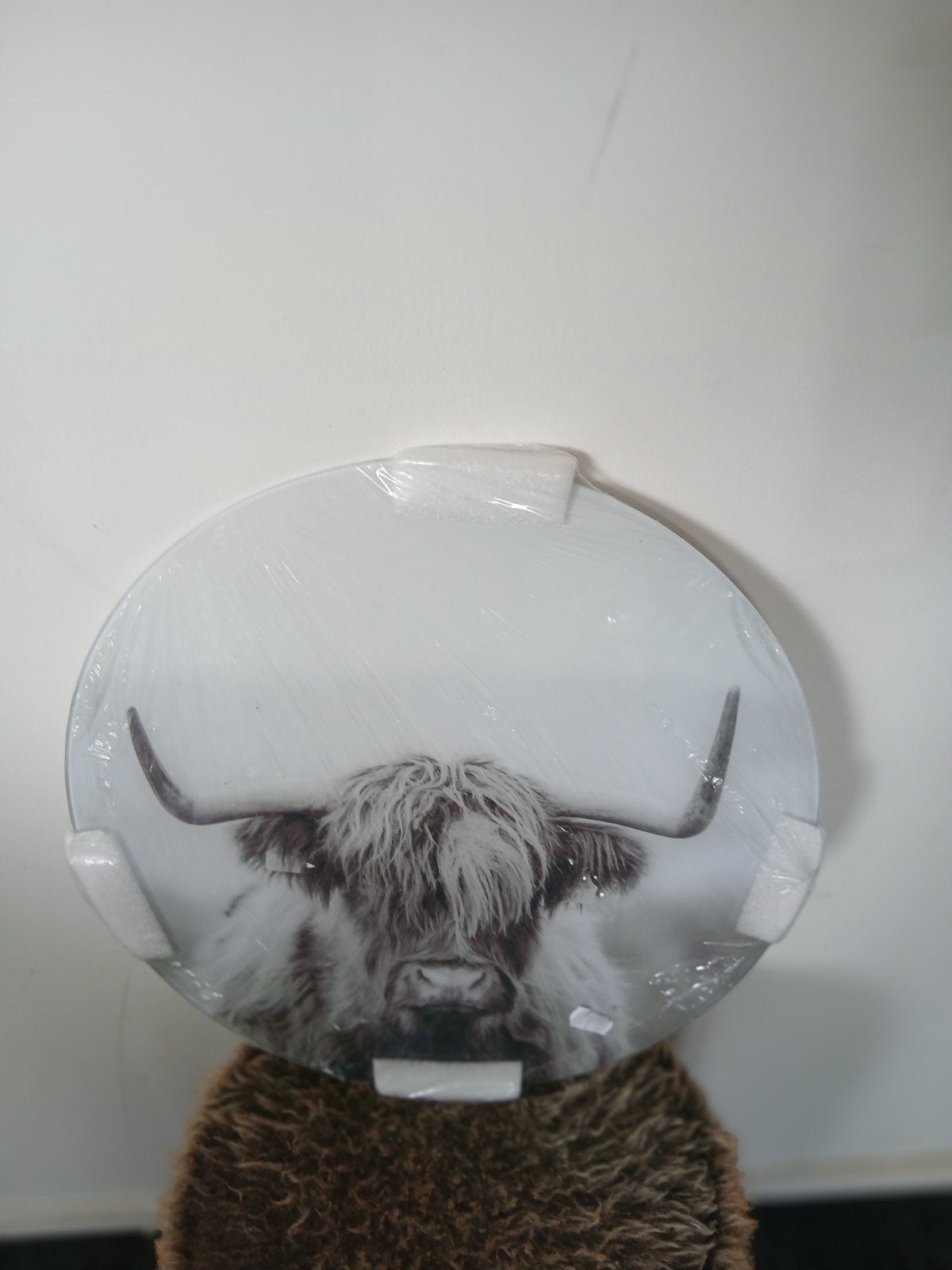 Nieuw glazen wanddecoratie Schotse Hooglander, Ophalen, Nieuw, Glas