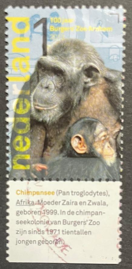 2013 Burgers Zoo 100 jr nvph 3037/tab Chimpansee, Postzegels en Munten, Postzegels | Nederland, Ophalen of Verzenden, Na 1940