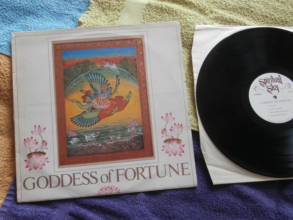 LP - Goddes Of Fortune - Goddes Of Fortune., Ophalen of Verzenden, Gebruikt, 12 inch, Overige soorten