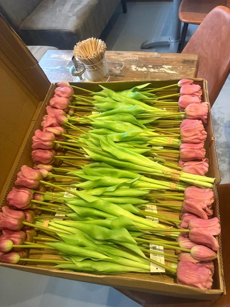 Paarse Tulpen - 47cm - 30 bosjes, Ophalen of Verzenden, Vaste plant, Overige soorten, Volle zon