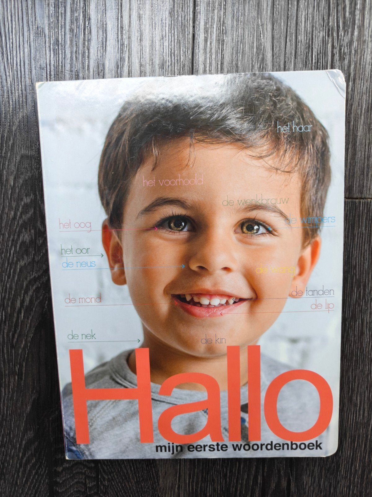 Hallo mijn eerste woordenboek - Kinderboek, Ophalen of Verzenden, Gelezen